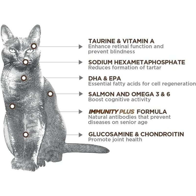Nupec Gato Adulto Senior 3 kg image number null