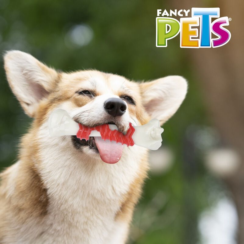 Fancy Pets Juguete Dental en Forma de F&eacute;mur Sab... image number null