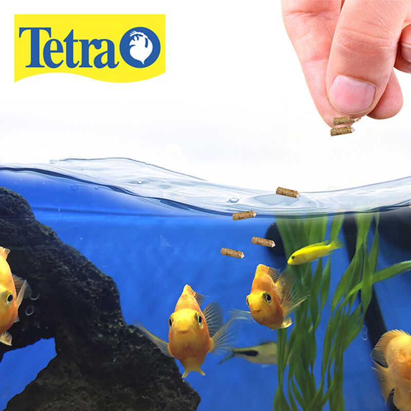 Tetra Ciclid Floating Cichild Sticks 350 G image number null