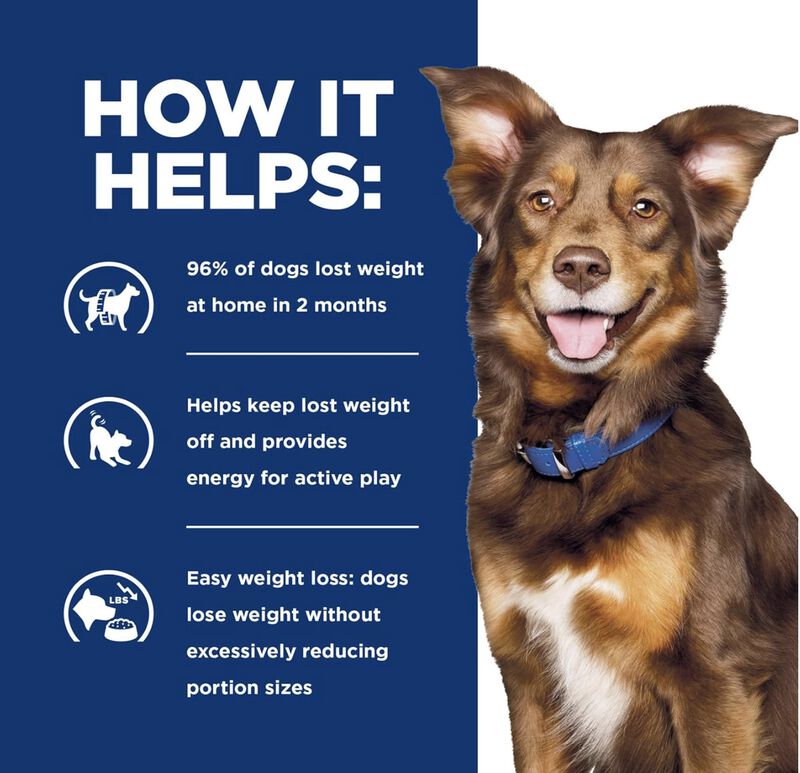 Hill's Canino Metabolic 8 Kg Original Sellado image number null