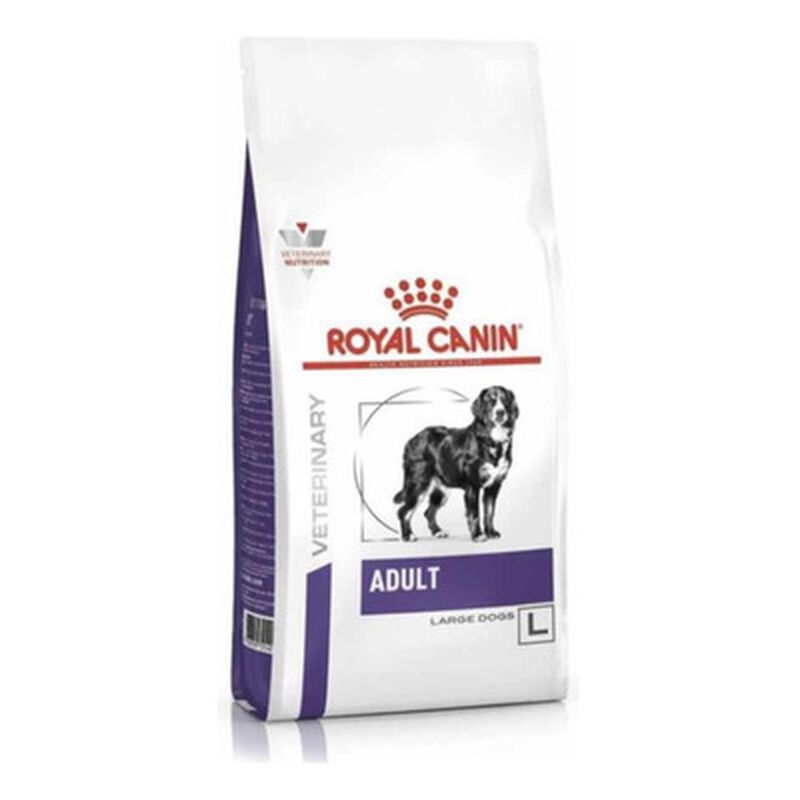 Royal Canin Canine Adult 4 Kg Original Sellado image number null