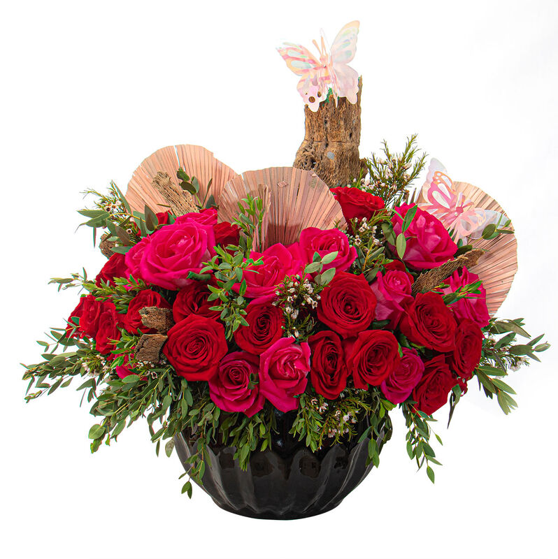 Reconocimiento a Mam&aacute; image number null