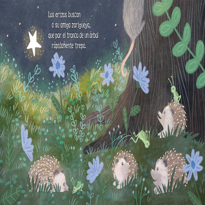 La Primera Estrella image number null