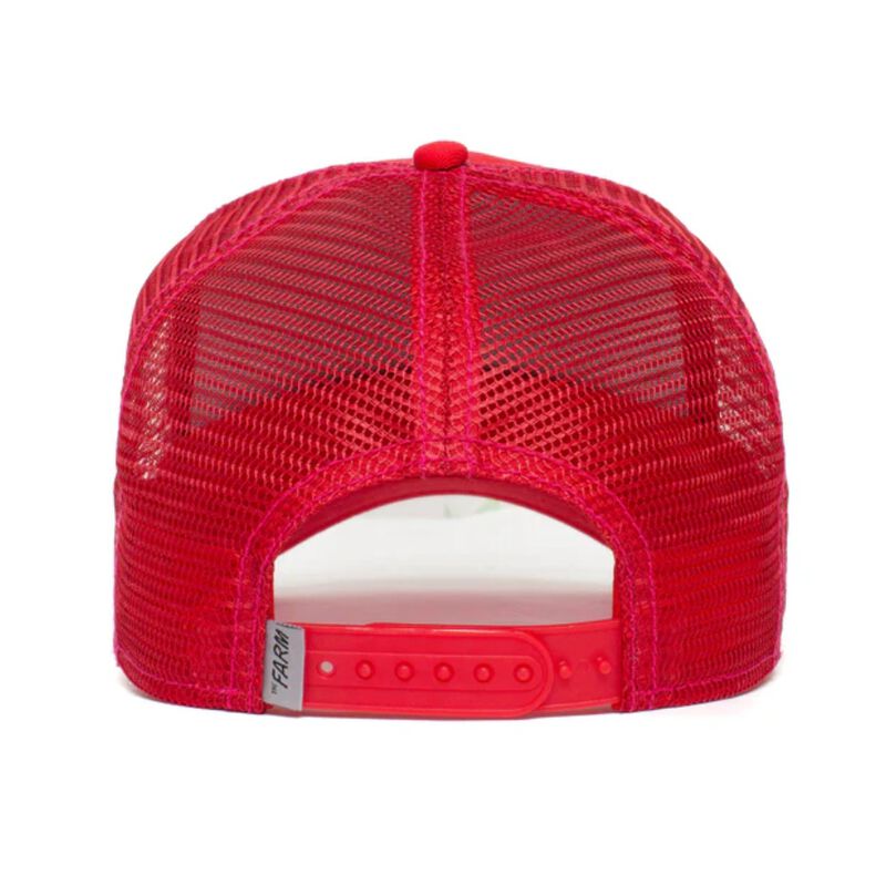 Gorra Goorin Bros Tiger 10103921 image number null