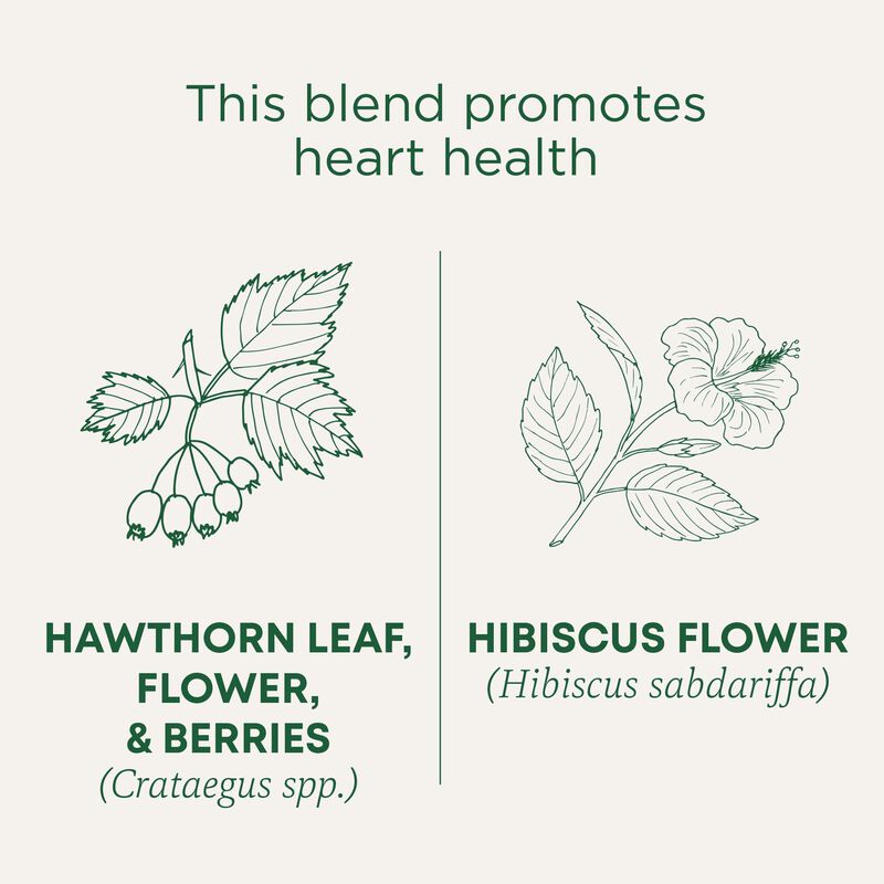 T&eacute; Traditional Medicinals De Espino Y Hibisco -... image number null