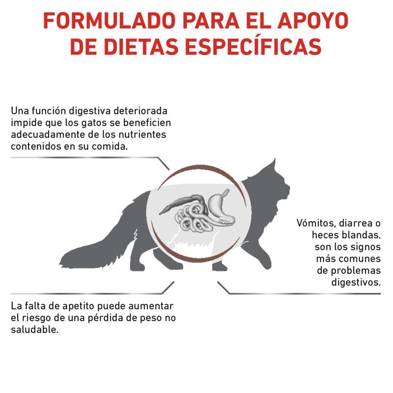Royal Canin Gastro-Intestinal Feline 4 Kg mas P... image number null