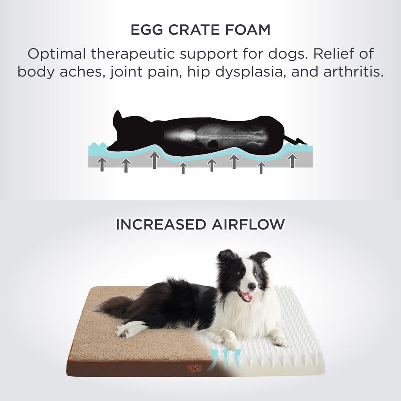 Cama Ortop&eacute;dica Grande Para Perros Con Funda Ex... image number null