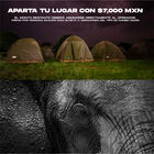 Aventura Acampando en África
