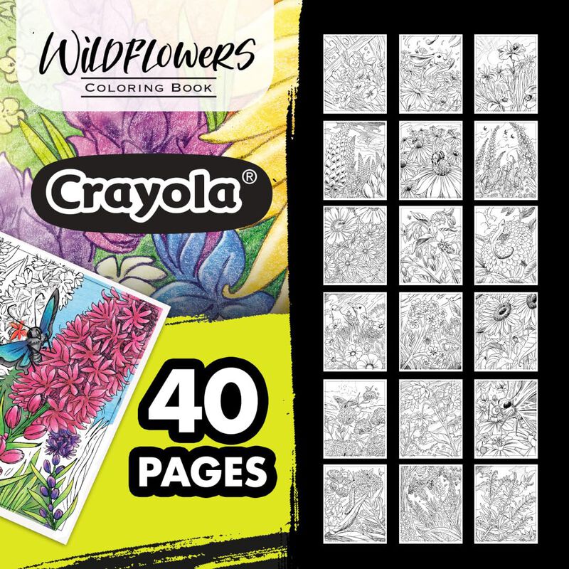 Libro Para Colorear Crayola Wildflower, 40 P&aacute;gi... image number null
