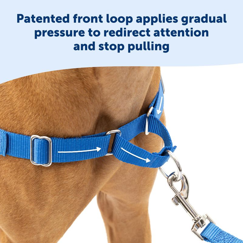 Arn&eacute;s Para Perros Petsafe Easy Walk No-pull, Ta... image number null