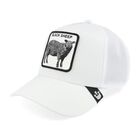 Gorra Goorin Bros Black Sheep 112053