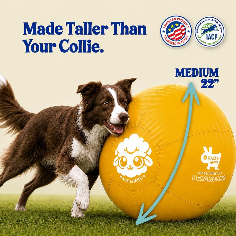 Pelota Para Perro Race&herd 56 cm Dorada - Jugu... image number null