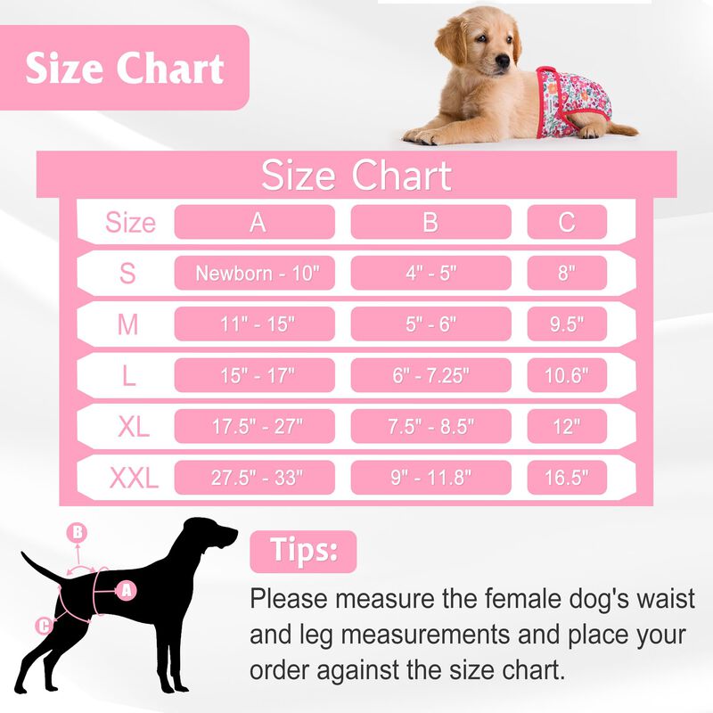 Pa&ntilde;ales Para Perro Barklincharm Pack De 5 Xl Co... image number null