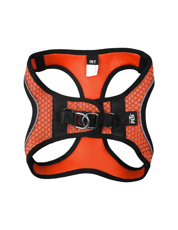 Fancy Pets Set Con Arnés Y Correa Sportie Para ... image number null