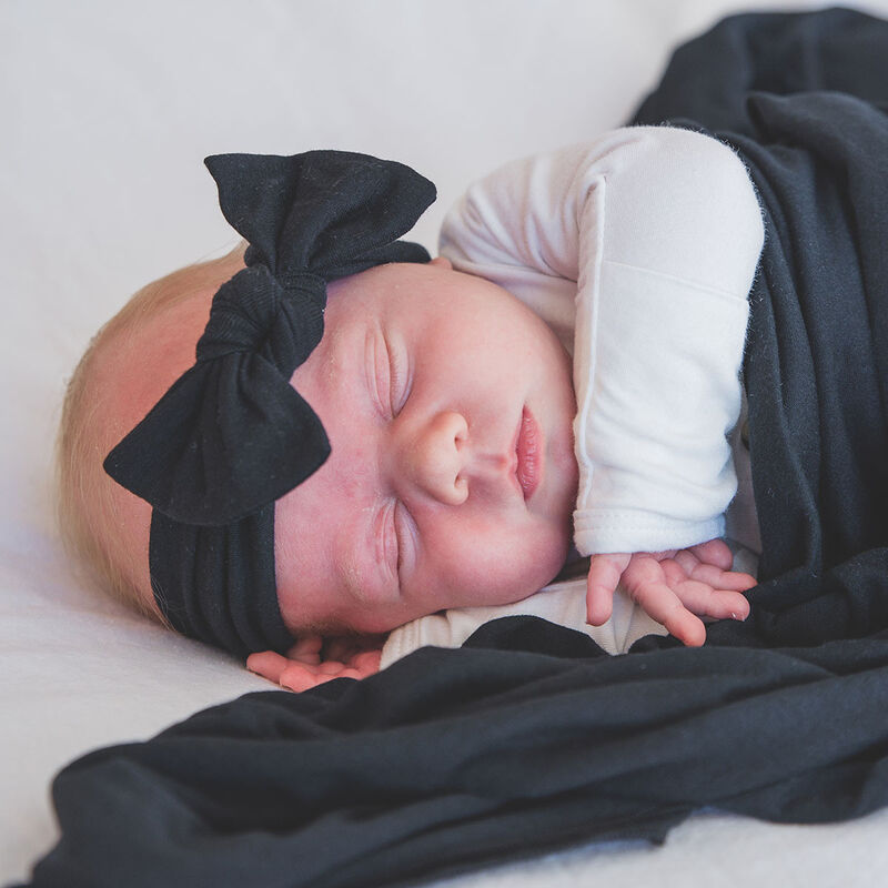 Banda Midnight image number null