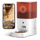 Alimentador Autom&aacute;tico Para Gatos Molly&cody 6 l Con C&aacute;mara Wifi Y Audio Bidireccional