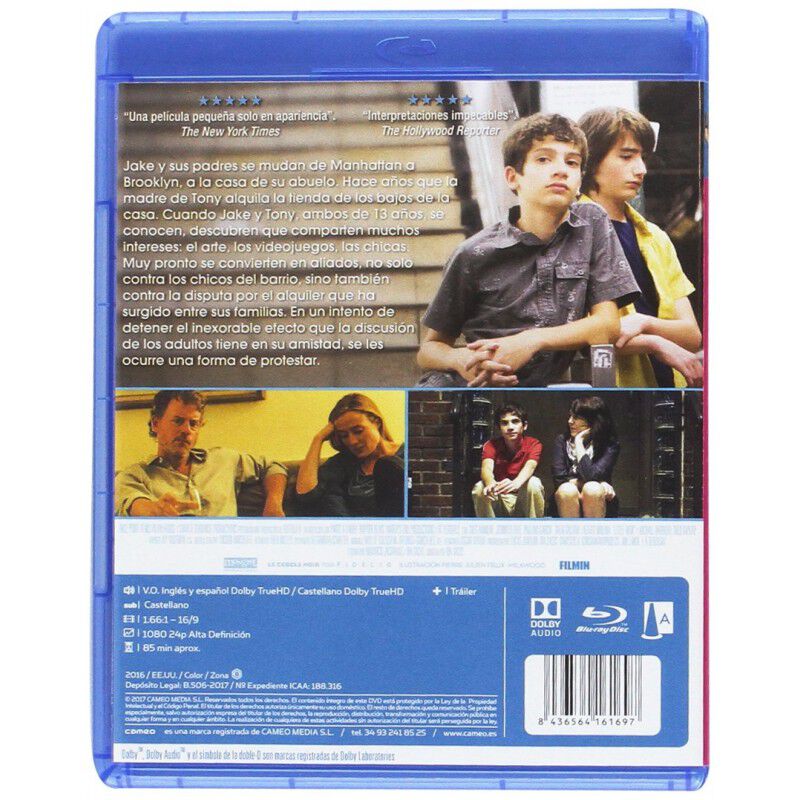 Verano en Brooklyn [Blu-ray] image number null