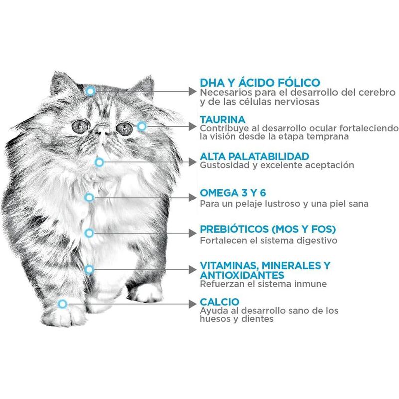 Nupec Felino Kitten 3 kg image number null