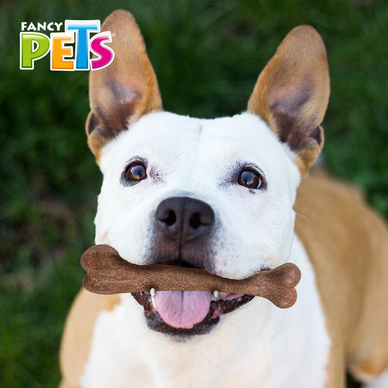 Fancy Pets Juguete Hueso para Morder con Fibra ... image number null
