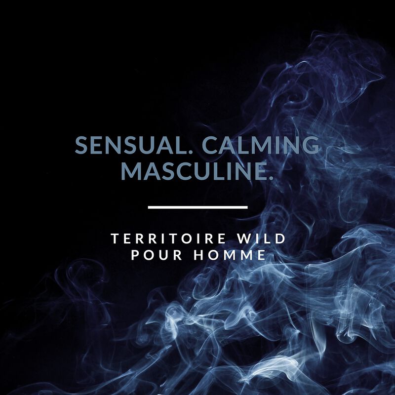 Perfume Territoire Eau De Parfum Wild Para Homb... image number null