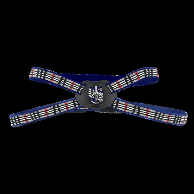 Fancy Pets Arnés Berrydog Color Azul Tamaño Gra... image number null