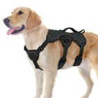 Arn&eacute;s Para Perros Rabbitgoo Escape Proof De Cuerpo Entero L Negro