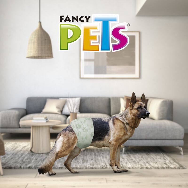 Dry Pet Pa&ntilde;al para Perro Macho Tama&ntilde;o Grande co... image number null