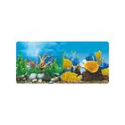 Respaldo Doble Para Acuario Vista Bosque/corales 50 Cm