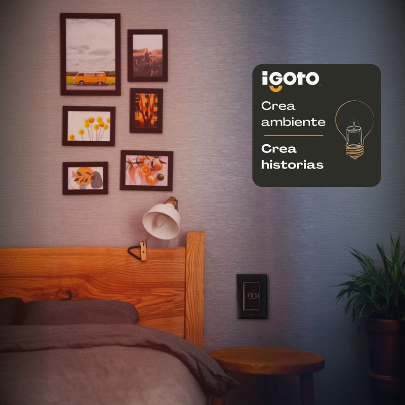 Placa con Contacto Duplex + USB+ USBC Negro iGo... image number null