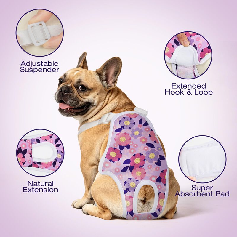 Pa&ntilde;ales Lavables Para Perras Jollywoods 3‑pack ... image number null