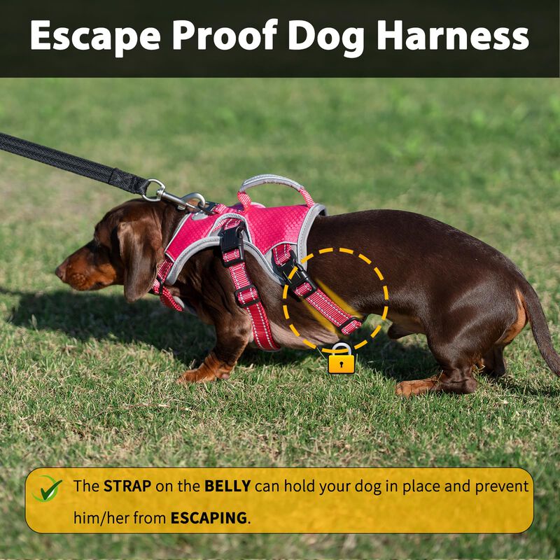 Arn&eacute;s Para Perro Huntboo A Prueba De Escape Col... image number null