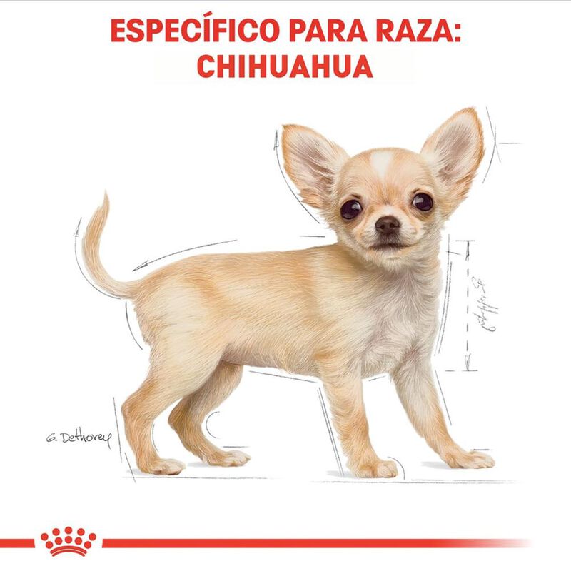 Royal Canin Bhn Chihuahua Puppy 1.14 Kg Origina... image number null
