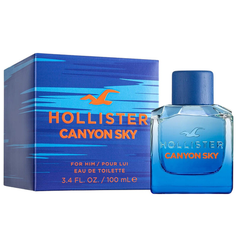 Perfume Hollister Canyon Sky For Him Edt 100 Ml... image number null