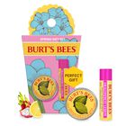 Set De Regalo Burt's Bees Spring Surprise Con B&aacute;lsamo Labial Y Crema Para Cut&iacute;culas