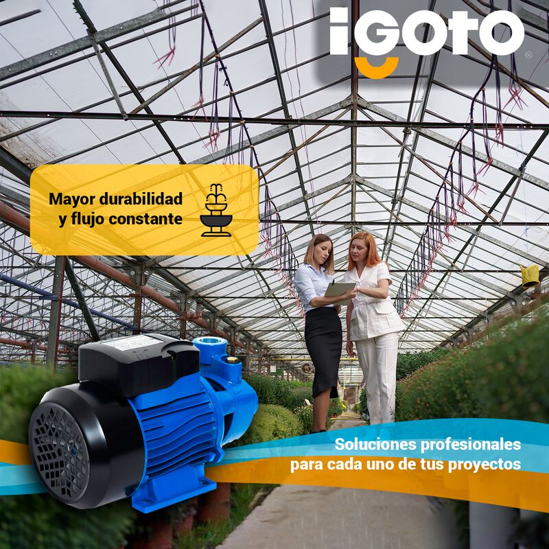 Bomba Periférica 1/2 Hp 127 V, 370w Igoto Qb-60 image number null