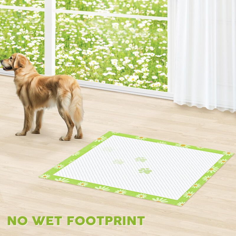 Alfombrillas Para Cachorros Croci 91 cm X 91 cm... image number null
