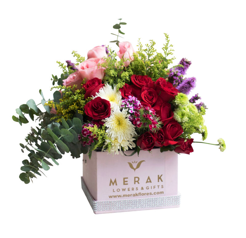 Consuelo image number null