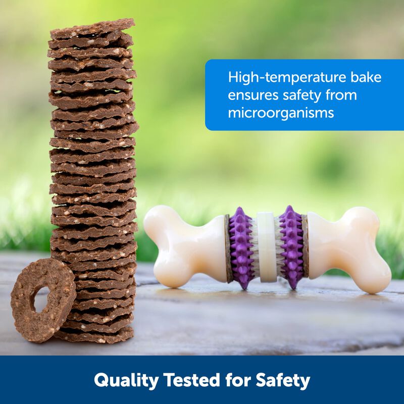 Treat Rings For Busy Buddy Dog Toys Petsafe 60 ... image number null