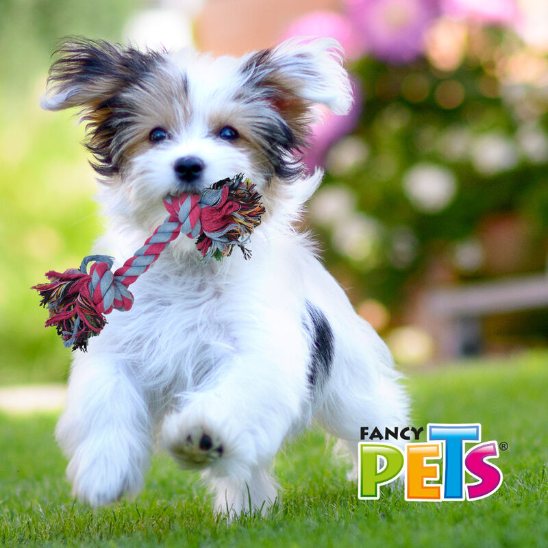 Fancy Pets Hueso de Hilo para Perro Multicolor ... image number null