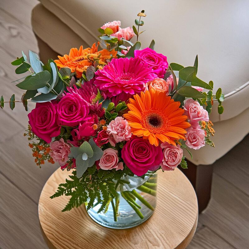 Bright Birthday Premium image number null