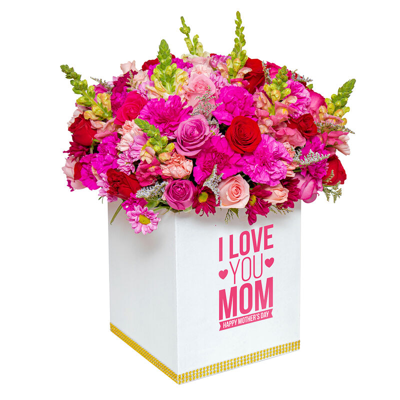 Beauty Rose image number null