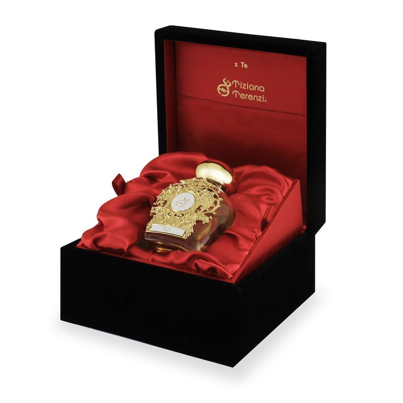 Perfume Tiziana Terenzi Assoluto Tyl Edp 100 Ml... image number null