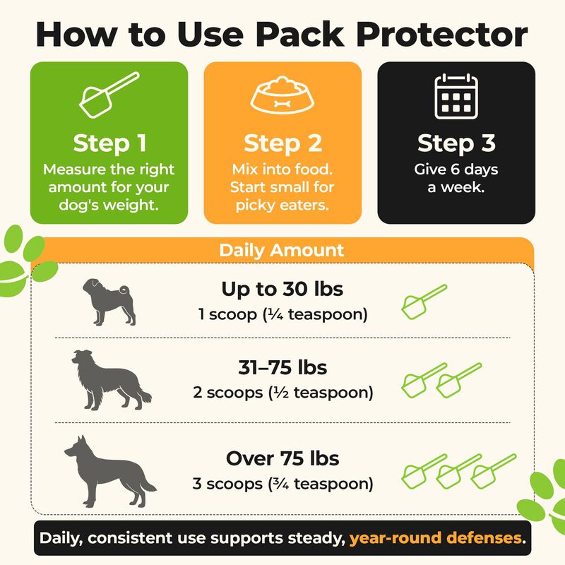 Suplemento Para Perros Better Dog 113 g Apoyo I... image number null