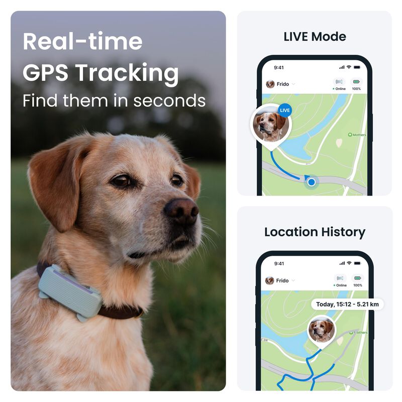 Ubicaci&oacute;n En Tiempo Real Del Gps Dog Tractive 2... image number null