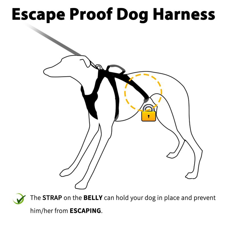 Arn&eacute;s Para Perro Huntboo A Prueba De Escape Y R... image number null