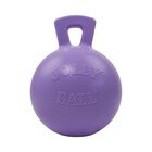 Juguete Para Perro Jolly Pets 25 cm Lila Claro Con Asa