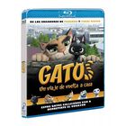 Gatos Blu-ray