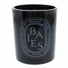 Vela Diptyque Black Baies Floral, 300 Ml
