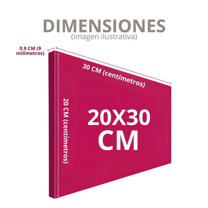 Cuadro Decorativo Impreso 20x30cm Adele image number null