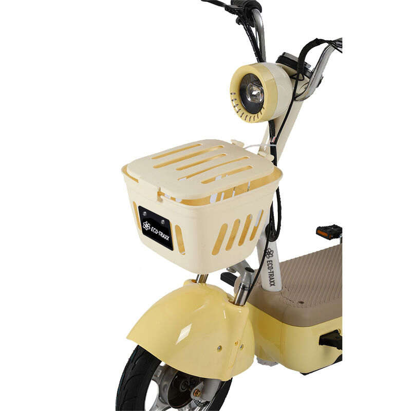 Motobici eléctrica LMR-001 image number null